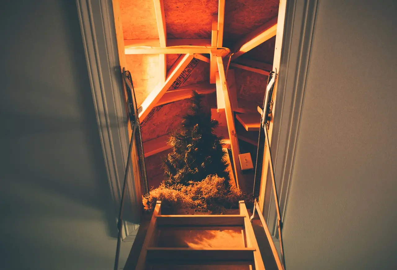 Attic & Insulation Drying in Biggs Junction