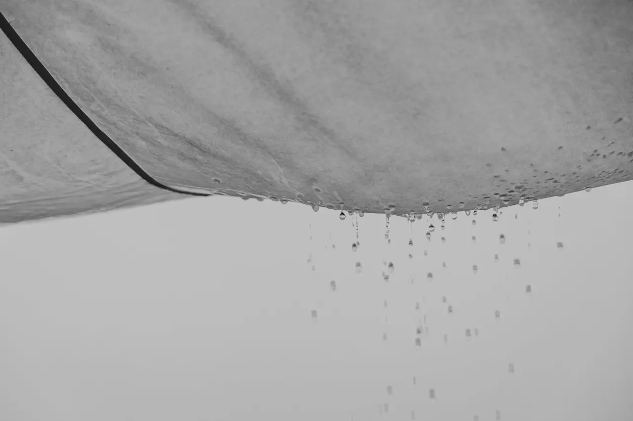 Dehumidification After Roof Leak in Biggs Junction