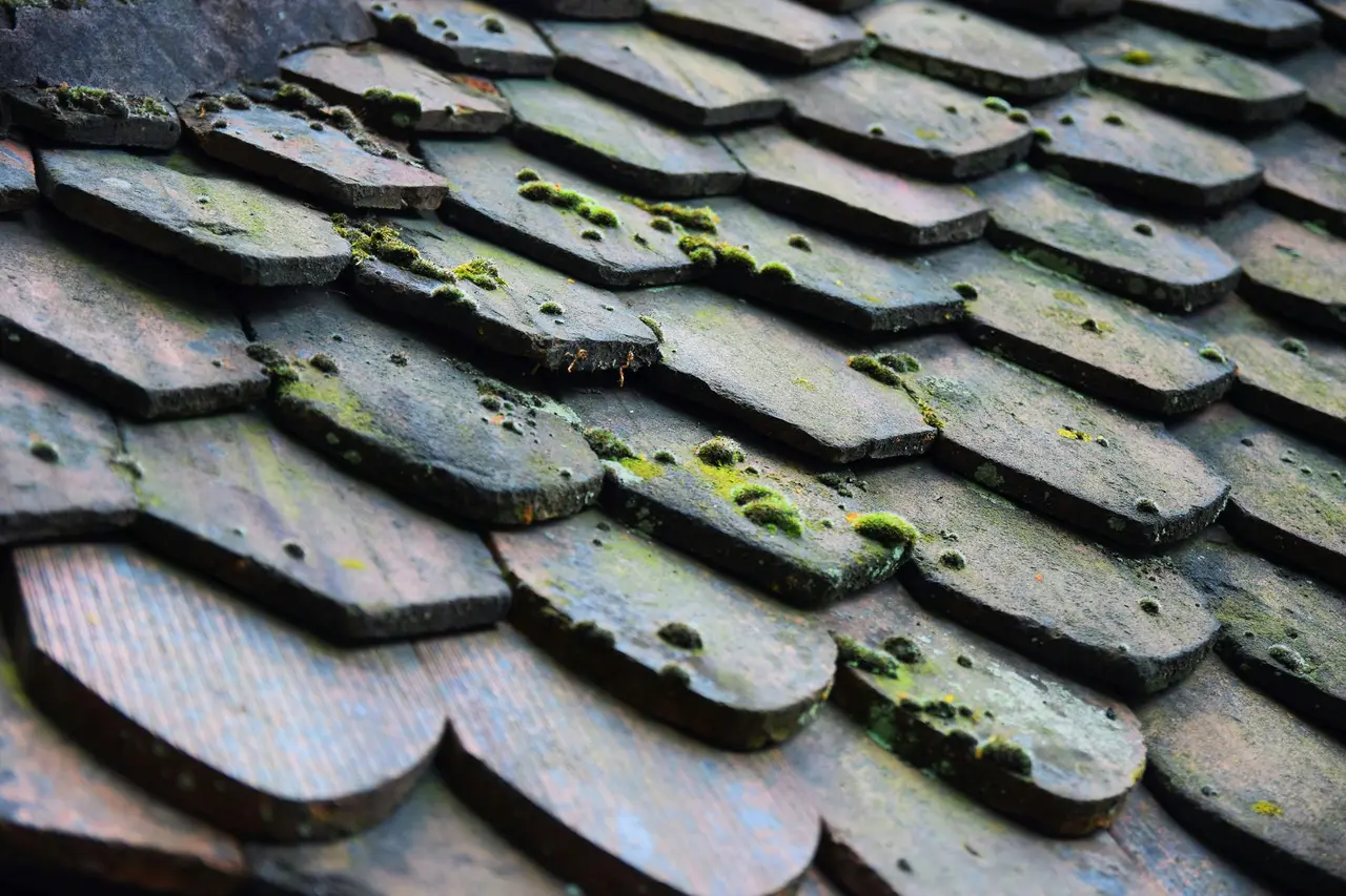 Roof Leak Mold Remediation in Biggs Junction